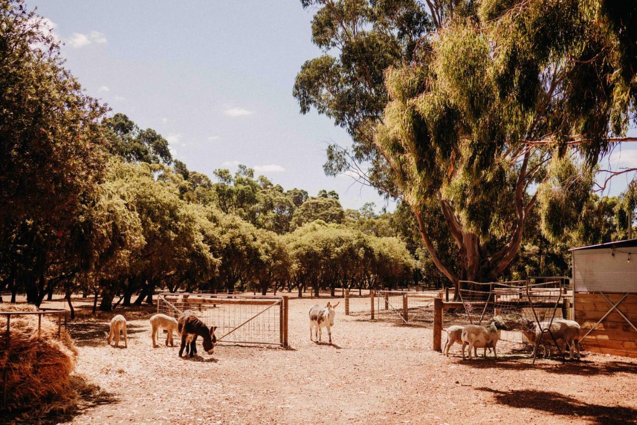 Margaret River Holiday Cottages Exterior foto