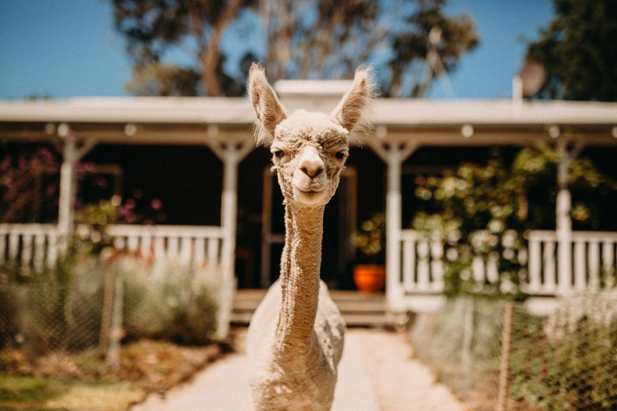 Margaret River Holiday Cottages Exterior foto